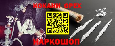 СК Кингисепп