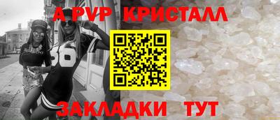 СК Кингисепп