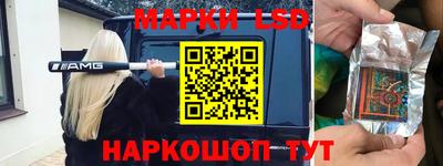 СК Кингисепп