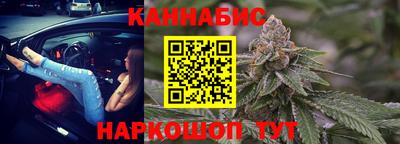 СК Кингисепп
