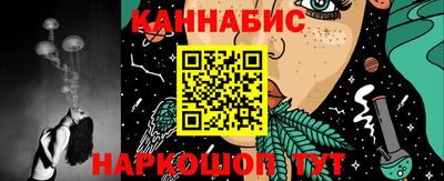 СК Кингисепп