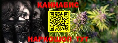 СК Кингисепп