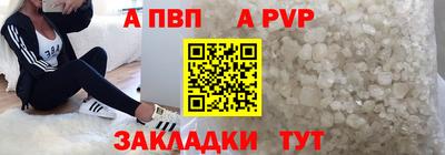 СК Кингисепп