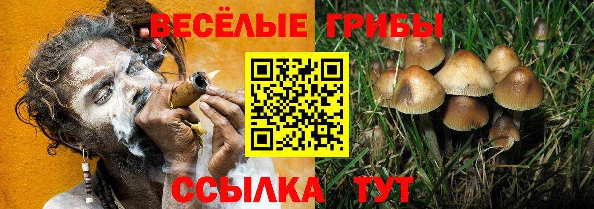 Фурманов  Галлюциногенные грибы MAGIC MUSHROOMS  Псилоцибиновые грибы GOLDEN TEACHER  Вход с VPN 